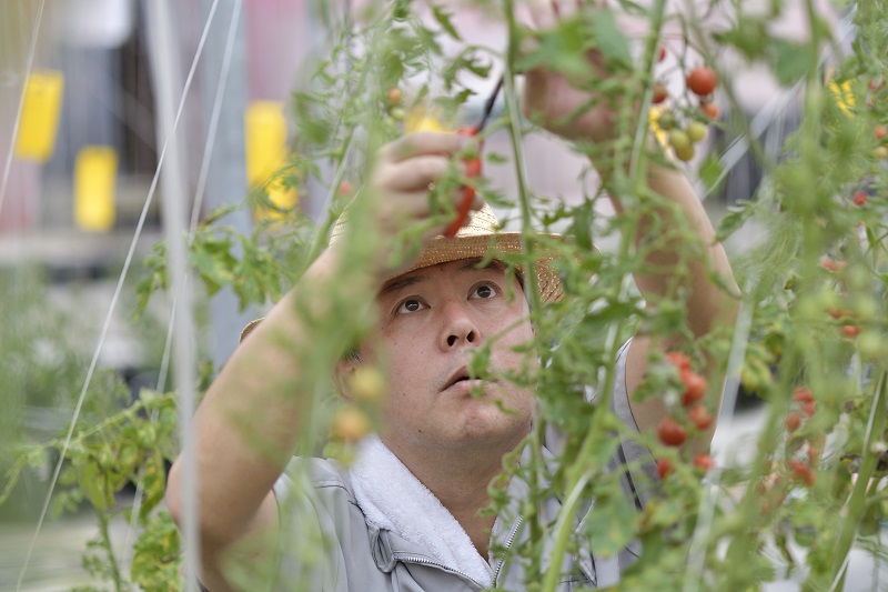 M・Farm(エムファーム)株式会社