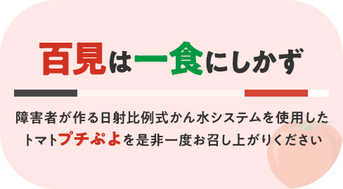 障害者が作る日射比例式かん水システムを使用したトマト「プチぷよ」を是非一度お召し上がりください百見は一食にしかず