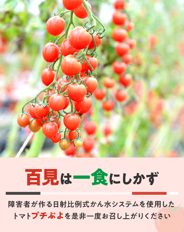 M・Farm株式会社