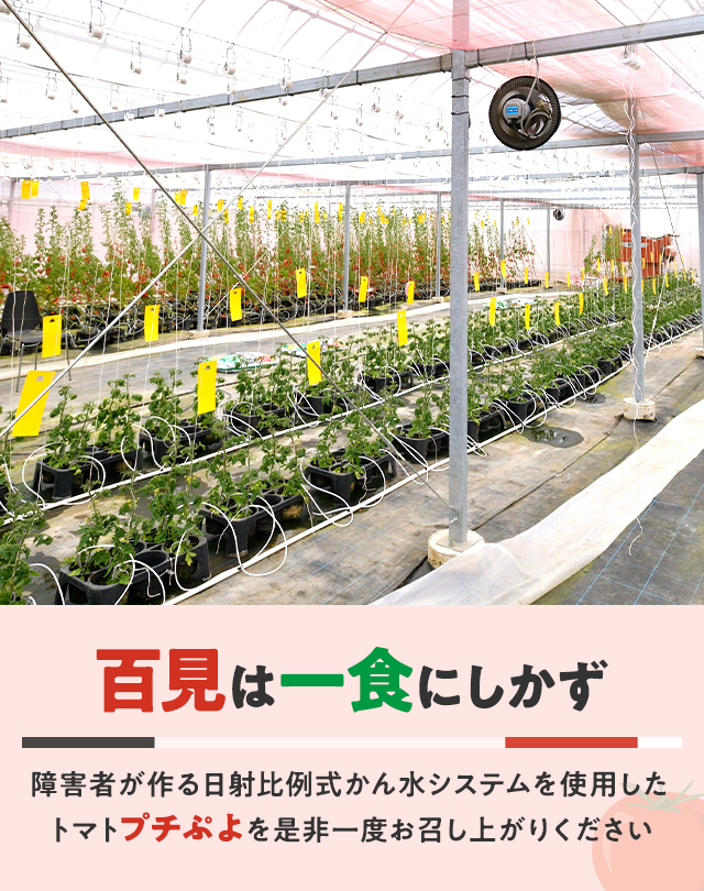 M・Farm株式会社