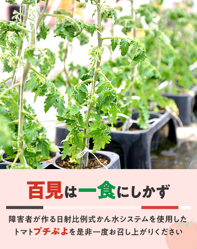 M・Farm株式会社